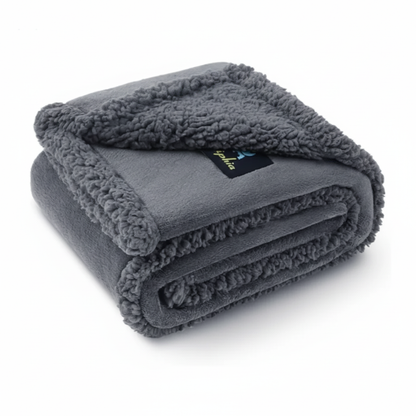 The KithPaw Protector