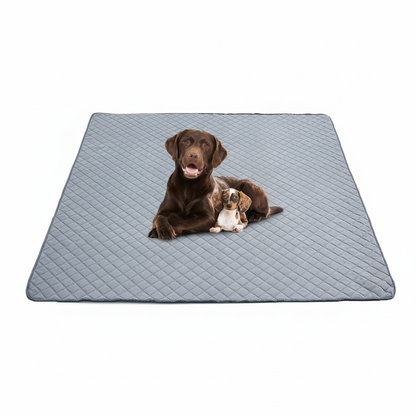 The Guardian Washable Pad (2-Pack)