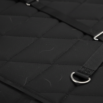 The KithPaw Protector